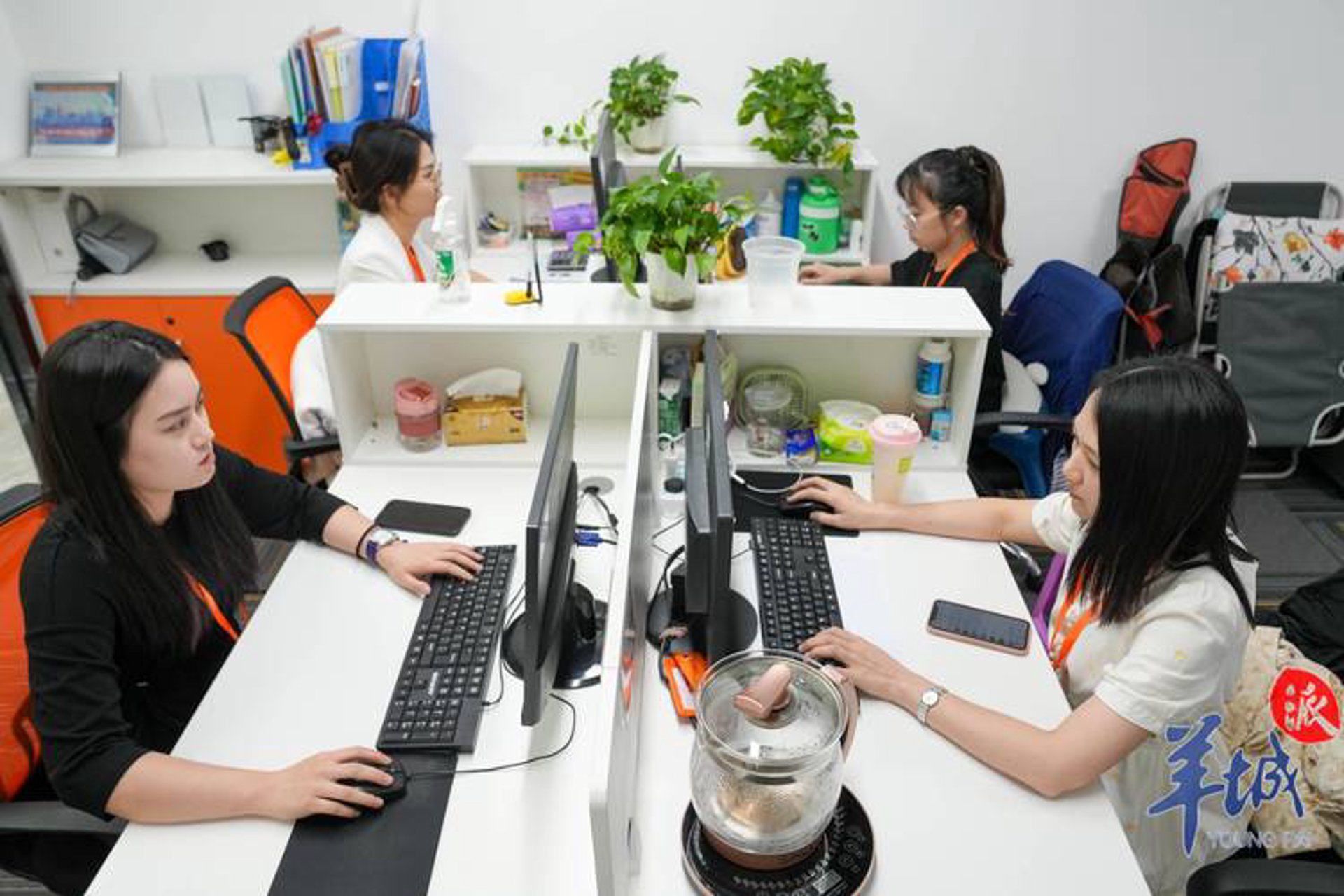 成人自考网